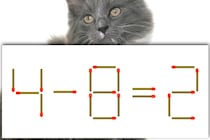 【マッチ棒パズル】正しい式にしよう！「4－8＝2」【毎日脳トレ】