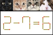 【マッチ棒パズル】正しい式にしよう！「2－7＝6」【毎日脳トレ】