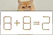 【マッチ棒パズル】どこがおかしい？「8＋8＝2」【毎日脳トレ】