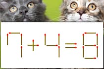 【マッチ棒パズル】どこがおかしい？「7＋4＝8」【毎日脳トレ】