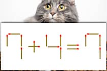 【マッチ棒パズル】正しい式にしよう！「7＋4＝7」【毎日脳トレ】