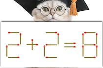 【マッチ棒パズル】正しい式にできる？「2＋2＝8」【毎日脳トレ】