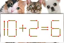【マッチ棒パズル】正しい式にできる？「10＋2＝6」【毎日脳トレ】