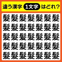 【間違い探し】違う文字を探そう！【毎日脳トレ】