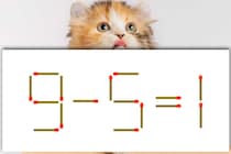 【マッチ棒パズル】正しい式にしよう！「9－5＝1」【毎日脳トレ】