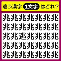【間違い探し】違う文字を見つけて♪【毎日脳トレ】