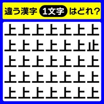 【間違い探し】違う1文字を探して♪【毎日脳トレ】
