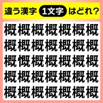 【間違い探し】1つだけ違う漢字があるよ！【毎日脳トレ】