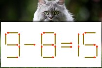 【マッチ棒パズル】解いてみよう♪「9－8＝15」【毎日脳トレ】