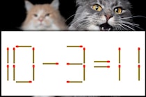 【マッチ棒パズル】正しい式に直そう！「10－3＝11」【毎日脳トレ】