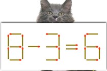 【マッチ棒パズル】正しい式にしてみよう！「8－3＝6」【毎日脳トレ】