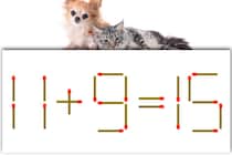【マッチ棒パズル】正しい式に直そう♪「11＋9＝15」【毎日脳トレ】