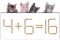 【マッチ棒パズル】正しい式にしてみて！「4＋6＝16」【毎日脳トレ】