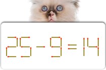 【マッチ棒パズル】正しい式に直して！「25－9＝14」【毎日脳トレ】