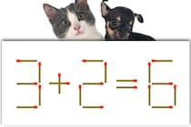 【マッチ棒パズル】正しい式にしてみよう！「3＋2＝6」【毎日脳トレ】
