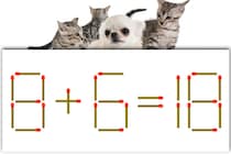 【マッチ棒パズル】正しい式にしてください！「8＋6＝18」【毎日脳トレ】