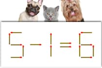 【マッチ棒パズル】正しい式にしよう！「5－1＝6」【毎日脳トレ】
