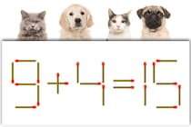 【マッチ棒パズル】正しい式にできますか？「9＋4＝15」【毎日脳トレ】