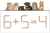 【マッチ棒パズル】正しい式にできる？「6＋5＝4」【毎日脳トレ】