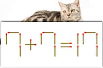 【マッチ棒パズル】正しい式にしてください！「7＋7＝17」【毎日脳トレ】