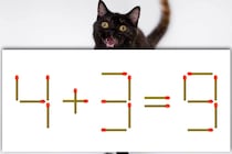 【マッチ棒パズル】正しい式にできたらすごい！「4＋3＝9」【毎日脳トレ】