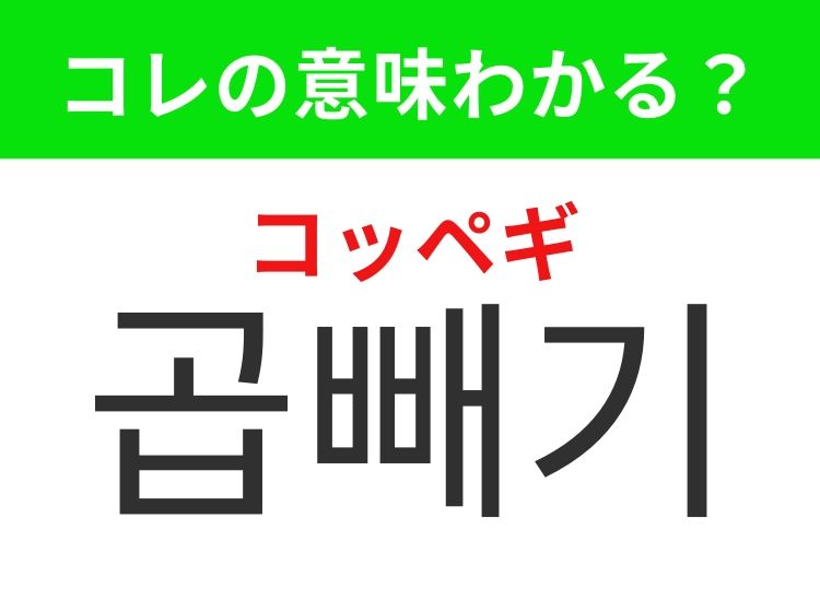 【韓国生活編】覚えておきたいあの言葉！ 「곱빼기（コッペギ）」の意味は？