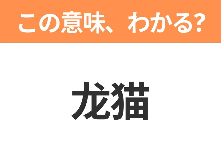 【中国語クイズ】「龙猫」は何の映画タイトル？かわいい姉妹と不思議な生き物が出会うファンタジー