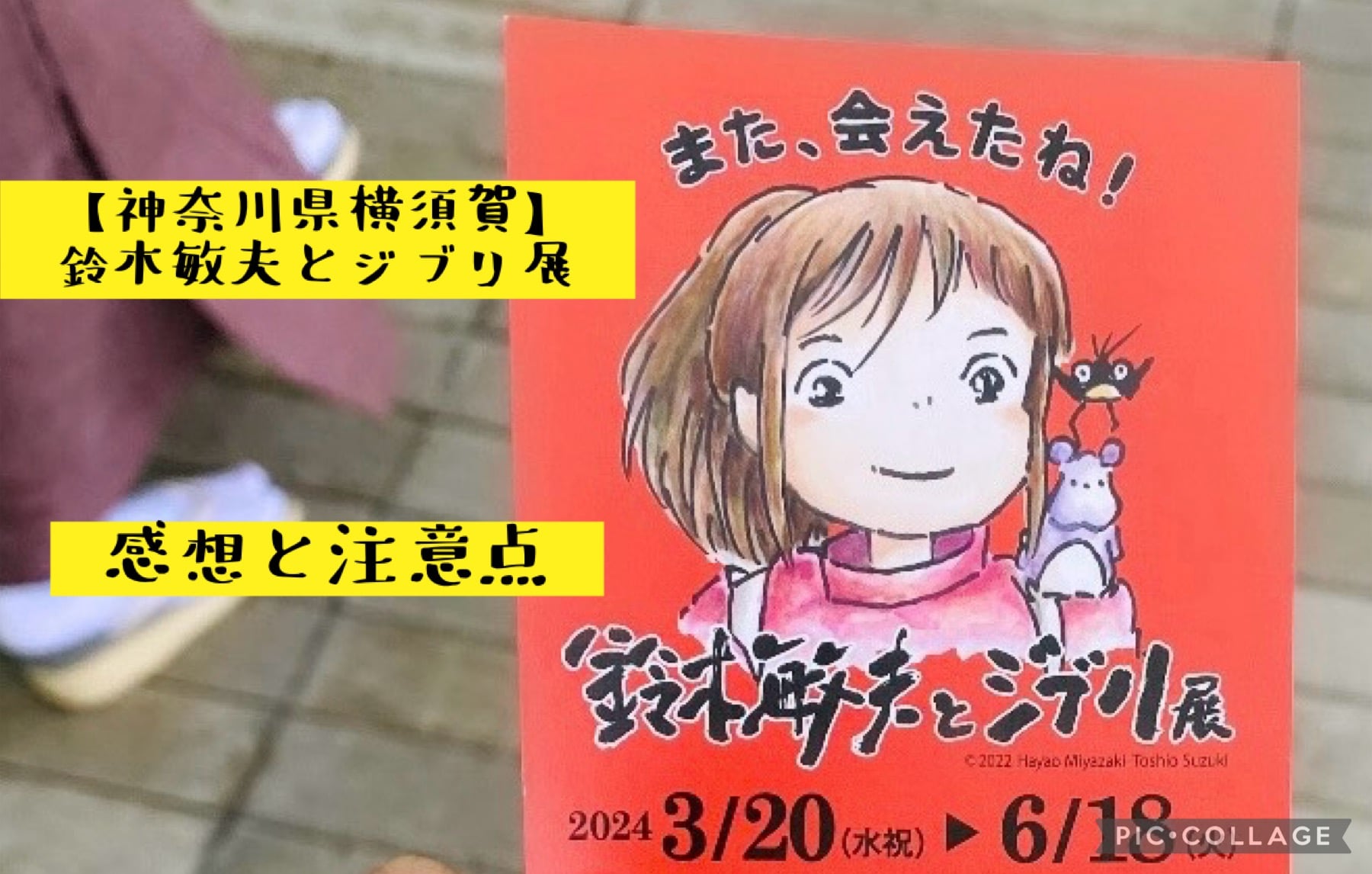 【横須賀】千と千尋の神隠しが好きな人にオススメ！「鈴木敏夫とジブリ展」に行ってきたよ！