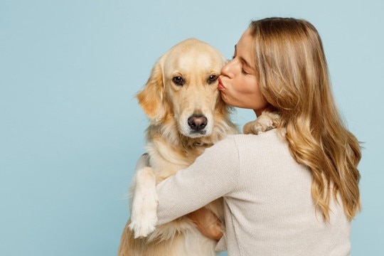 犬が『ストレスを感じてしまう』間違ったお世話4つ　逆効果となるNG行為とは？