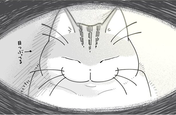 【ネコ漫画】猫がゆっくり瞬きするのは信頼の証!?「めちゃわかる」「かわいい」などSNSにコメントが続出！