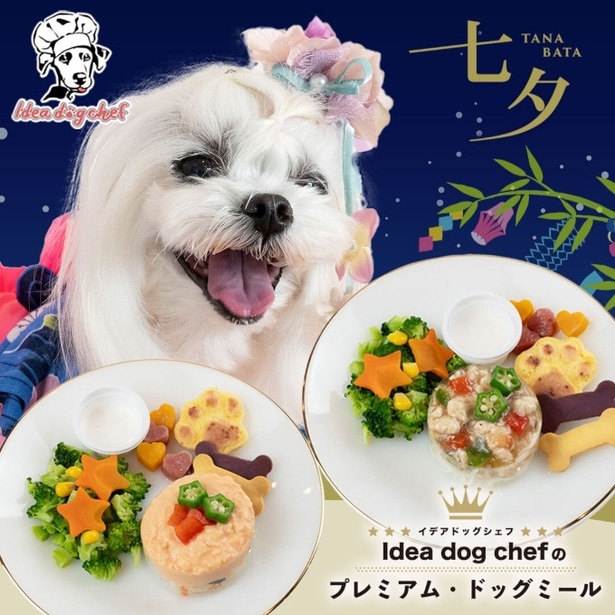 ワンコと七夕の思い出づくりに。愛犬用七夕限定メニュー「スターフェスティバルプレート」のこだわりを担当者に直撃！