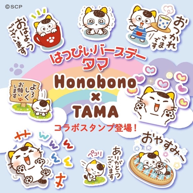 タマ＆フレンズが大人気イラストレーターHonobonoとコラボ！タマの誕生日にオリジナルLINEスタンプを発売