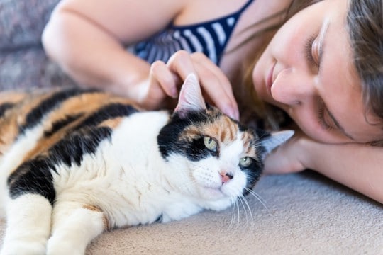 愛猫を『けっこう腹黒いな…』と感じるとき3選　あざとさやズル賢さに思わず苦笑いする瞬間とは？