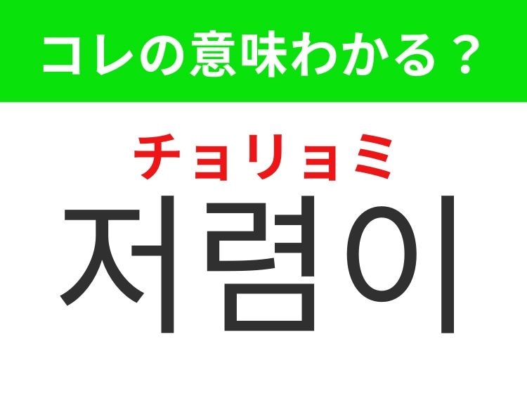 【韓国生活編】覚えておきたいあの言葉！ 「저렴이（チョリョミ）」の意味は？