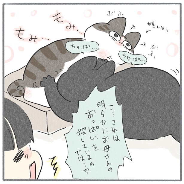 【ネコ漫画】甘えんぼ弟猫と、素直になれないツンデレ兄猫の日々を描いた癒やし漫画が「尊い」と大反響【作者に聞く】