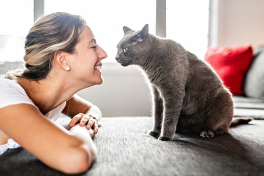 愛猫が『飼い主さんを猫だと思っている』ときの3つの行動　そもそも猫は「人間」をどう見ている？