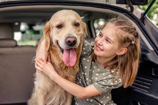 愛犬に喜んでもらうためのお出かけスポット3選！楽しむためのポイントとそれぞれの注意点