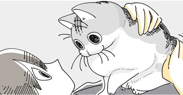 【ネコ漫画】大好きな飼い主と見つめ合う愛猫!?その姿に「幸せな時間ですね」などSNSで共感コメント続々