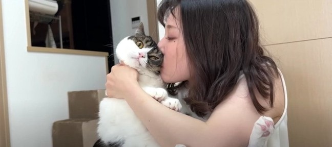 「嫌ニャー！」猫吸いでママさんを癒やす猫くん