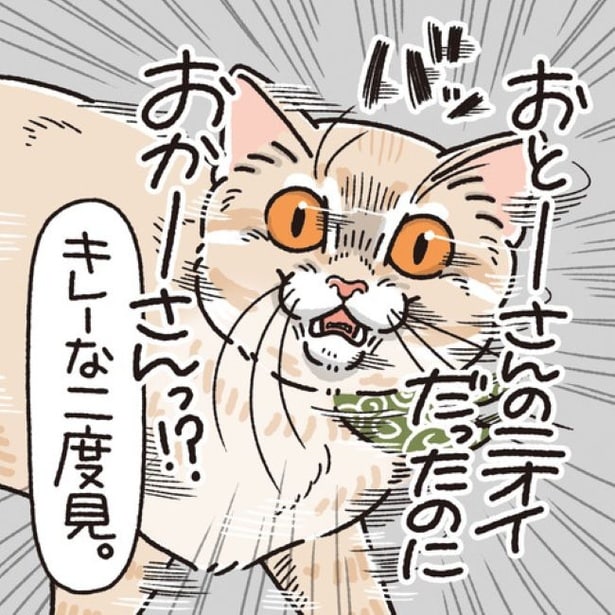 【ネコ漫画】「おとーしゃんのニオイがするのに、なんでおかーしゃんなの？」視力が低い猫がニオイで飼い主を間違えた瞬間！華麗な二度見【作者に聞く】