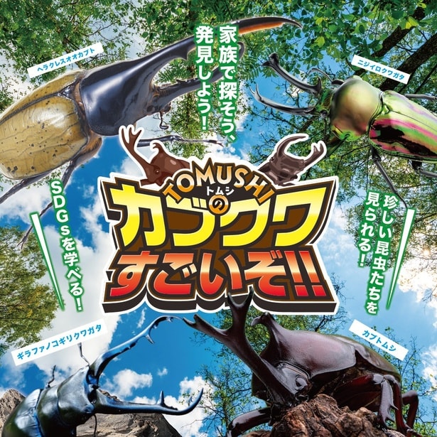 夏休みの予定はコレで決まり！関西のイオンモールおすすめイベント6選[2024年7月19日(金)～21日(日)]