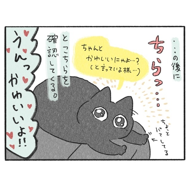 【ネコ漫画】クールに見えて実は甘えん坊の兄猫・くろもと、マイペースな弟猫・ぽんずの不思議でクスッと笑える行動に癒やされる【作者インタビュー】