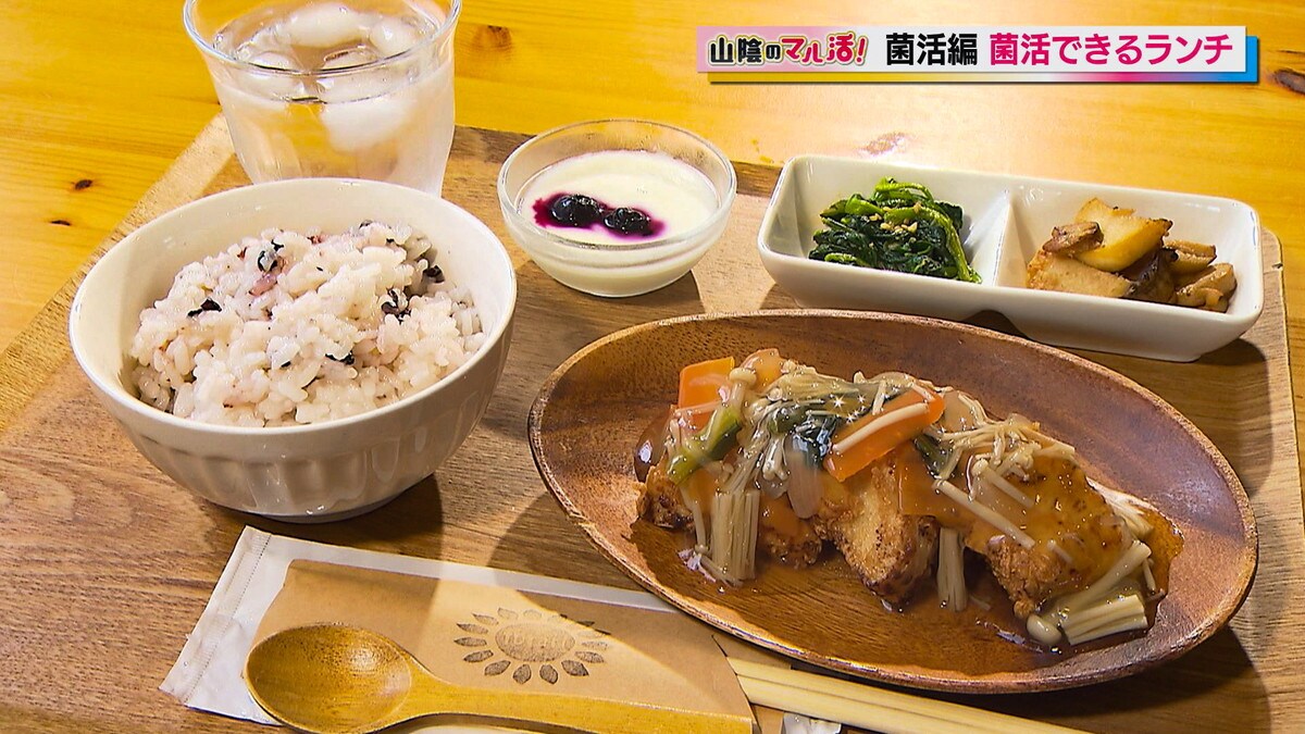 子連れに優しいカフェでいただく菌活ランチ！体に嬉しい発酵食品や地元野菜がたっぷり！｜鳥取県倉吉市