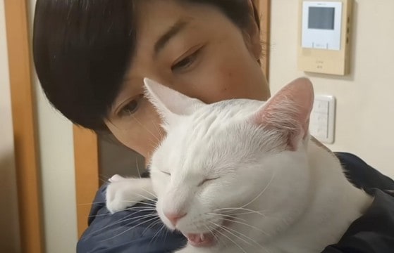 『マザコンな猫』の日常撮ってみたら…大好きなママとのラブラブすぎるやり取りが68万3000再生「音だけでわかるなんてｗ」「素敵」