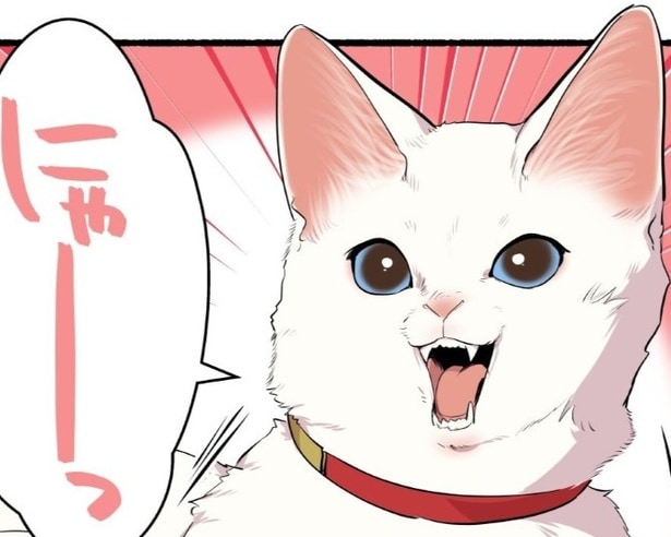 【ネコ漫画】「キャバクラに行く妻帯者の気分」愛猫がいるのに猫カフェに…「浮気がバレて修羅場」の声も【作者に聞く】