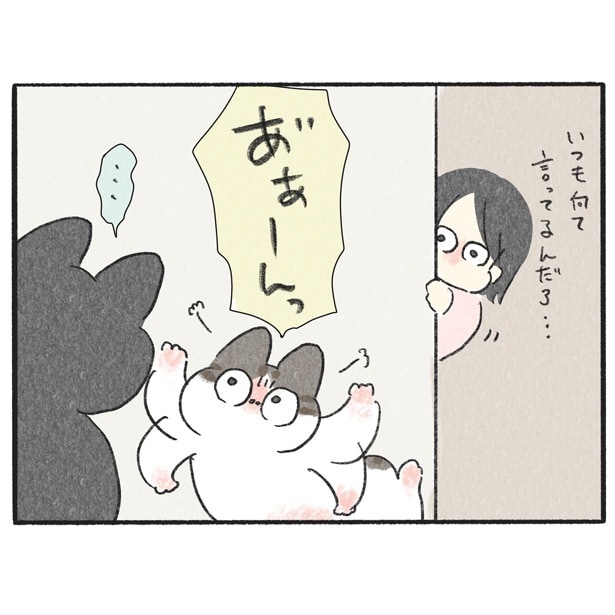 【ネコ漫画】猫語の翻訳アプリで衝撃結果！弟猫は兄猫が好きすぎて、メンヘラ彼女的な一面が…!?【作者インタビュー】