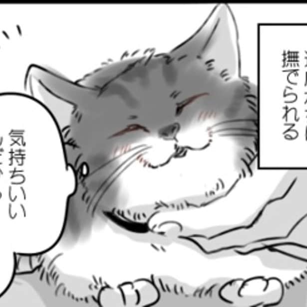 【ネコ漫画】保護された野良猫の変化に「うちの子もそうだった」と共感の嵐！野良猫と飼い主の絆ストーリーとは!?【作者に聞く】