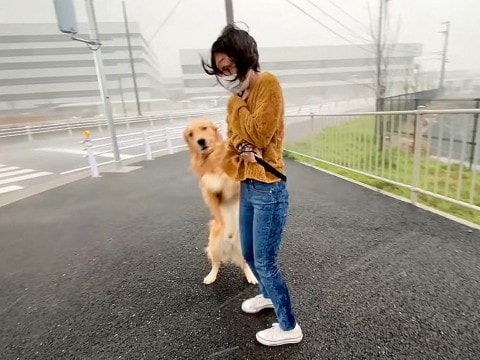 天気予報を見ずに犬の散歩に行った結果…まさか過ぎる『悲劇』が509万再生「むしろ楽しそうｗ」「ママ守ろうとするの可愛い…」と絶賛