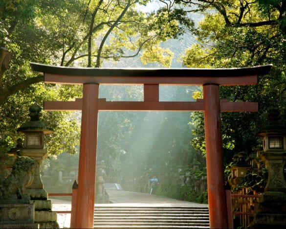 人気占い師・木下レオンさんが教える「ご利益アップする参拝術」がすごい…神社巡りで運気爆上げ！