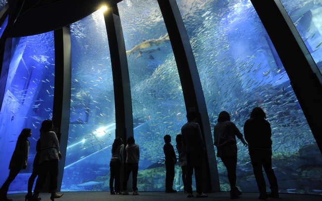 【水族館】日本最大級の水族館「横浜・八景島シーパラダイス」！アトラクションも楽しめる